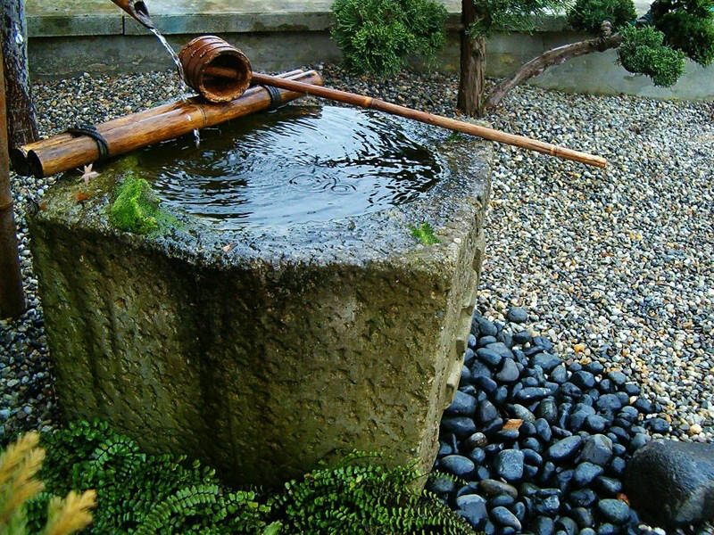 Bonsai Suiseki Market