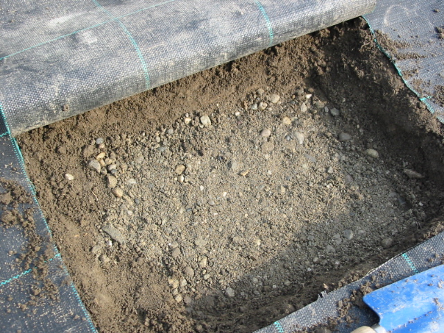 Bonsai Suiseki Market