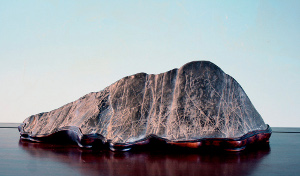 Bonsai Suiseli Market