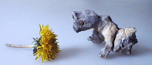 Bonsai Suiseli Market